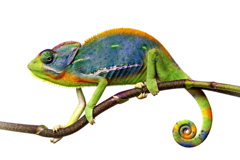 Flexibilität